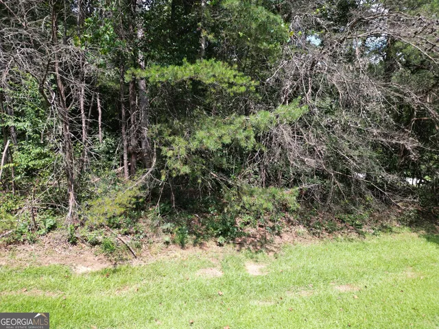 a view of a yard with plants and large trees