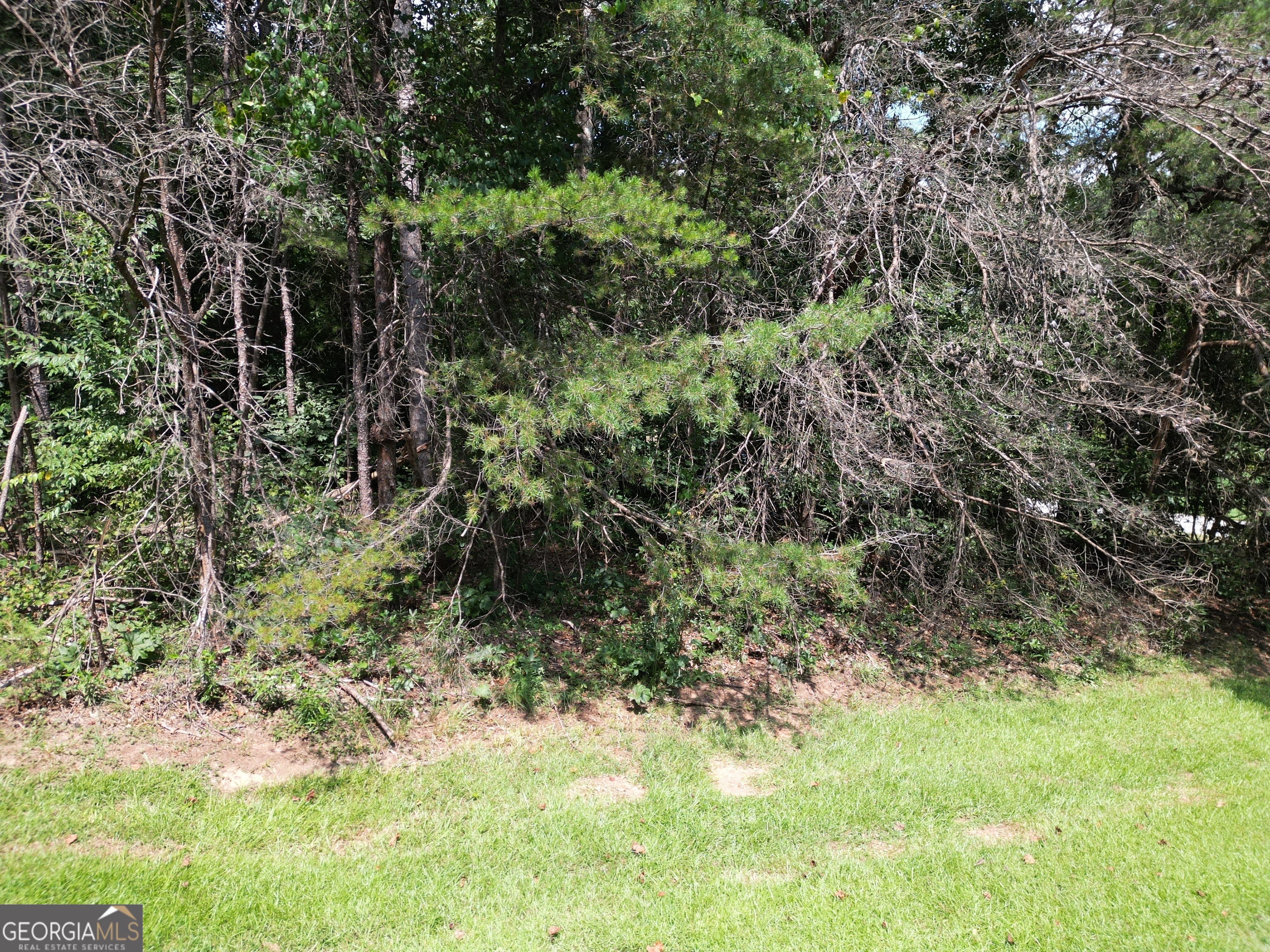 Lot 21 Deer Chase Road Toccoa, GA 30577 - Photo 7 of 7 a view of a yard with plants and large trees