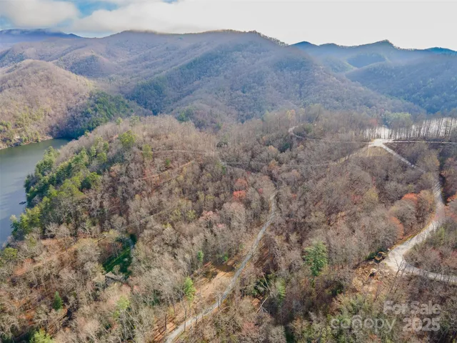 a view of a dry top field with trees in the background