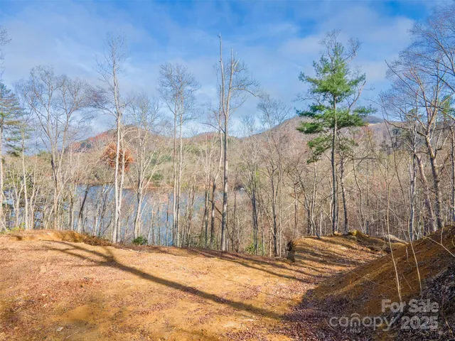 a view of a backyard of the house
