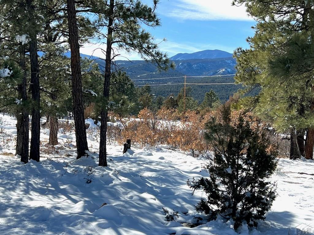 6630 3 R Road Beulah, CO 81023 - Photo 3 of 53