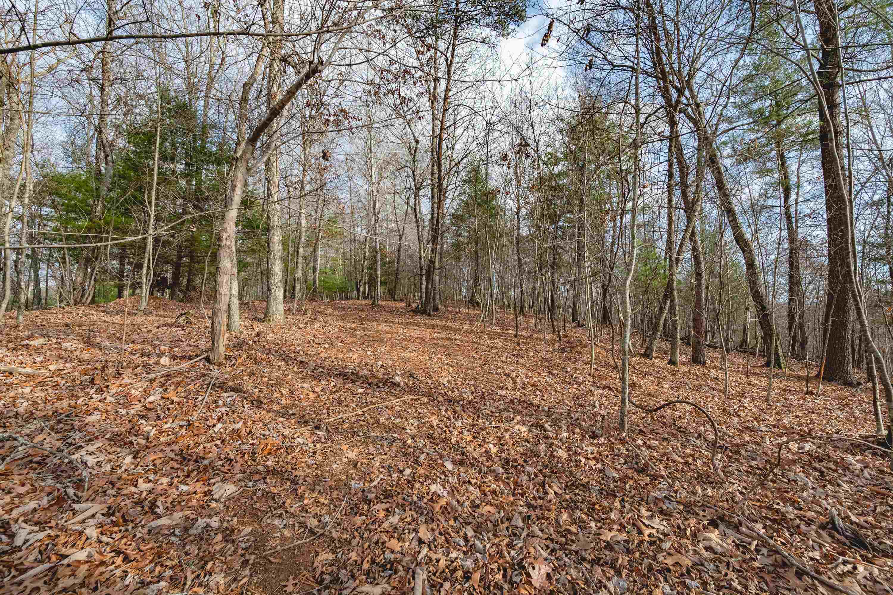 Tbd Spangler Mill Road Northeast Floyd, VA 24091 - Photo 18 of 44 Gallery Image 18