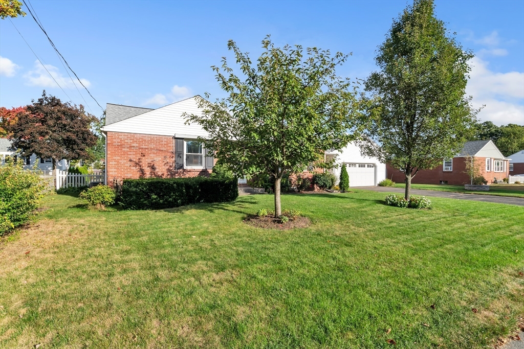 95 Bardon Street Chicopee, MA 01020 - Photo 4 of 41