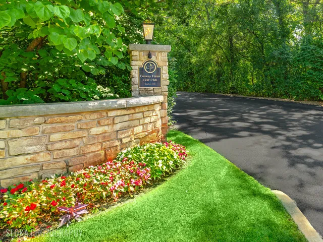 a view of a garden with flowers