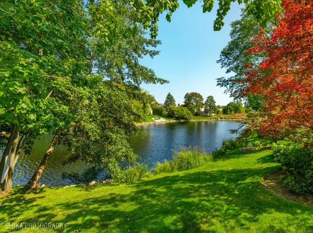 a view of lake with green space