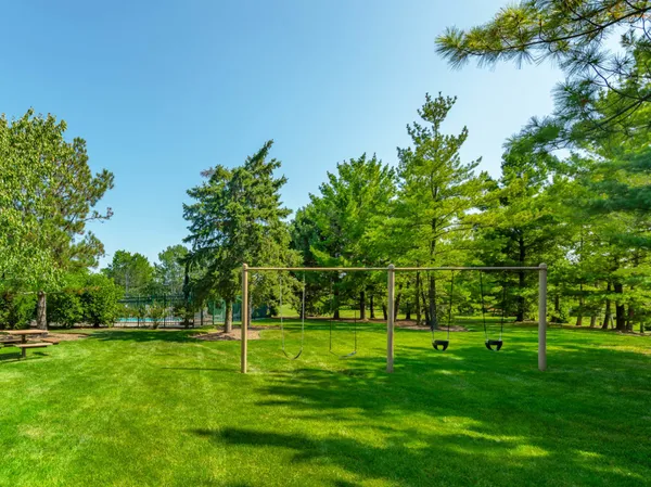 a view of a park with a tree