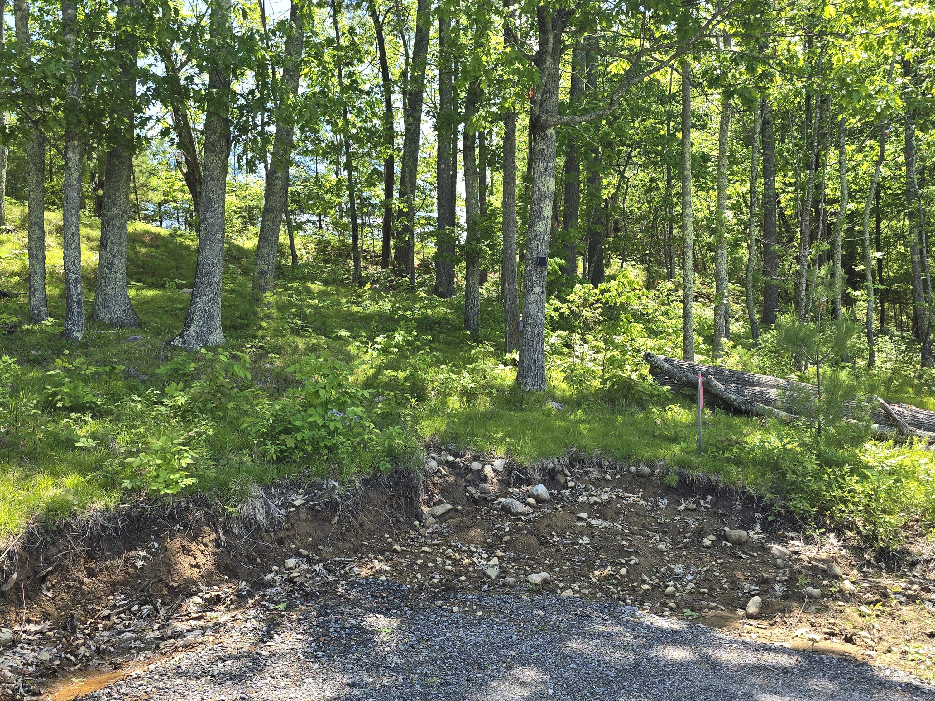 Lot 55 Quaker Ridge Road Casco, ME 04015 - Photo 9 of 13 1000014385