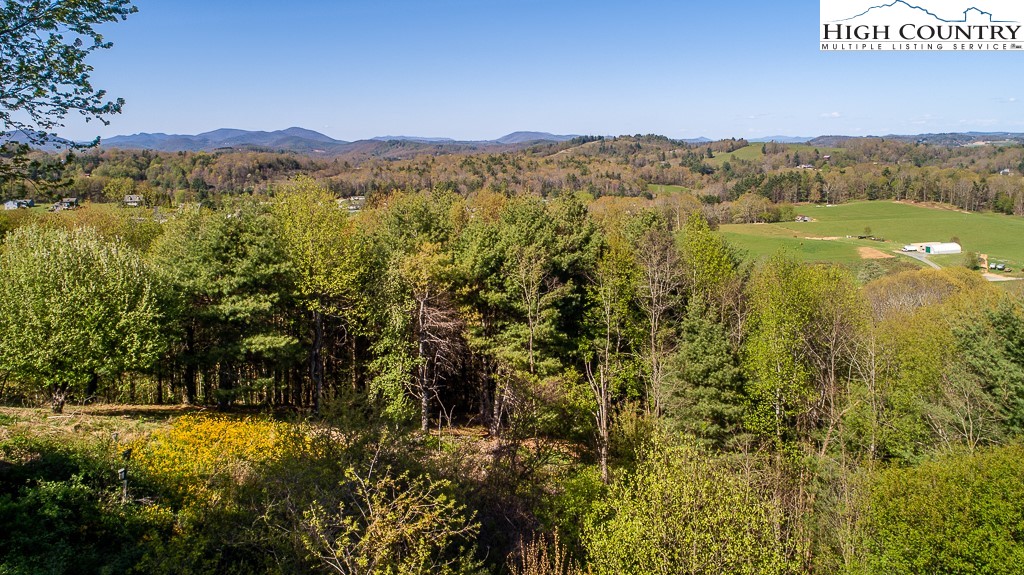218 Heather Street Boone, NC 28607 - Photo 46 of 48 Gallery Image 46