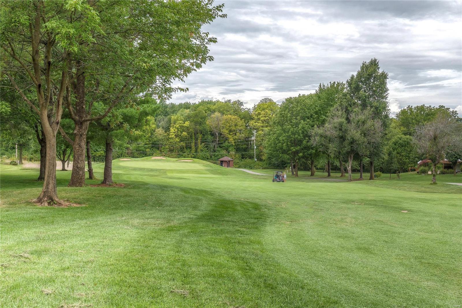 76 Gillette Field Close Weldon Spring, MO 63304 - Photo 3 of 58 Gallery Image 3