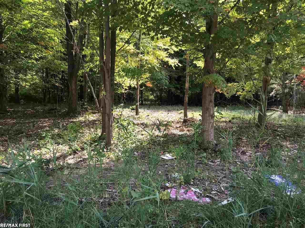 25 25 Mile Road New Baltimore, MI 48047 - Photo 2 of 4