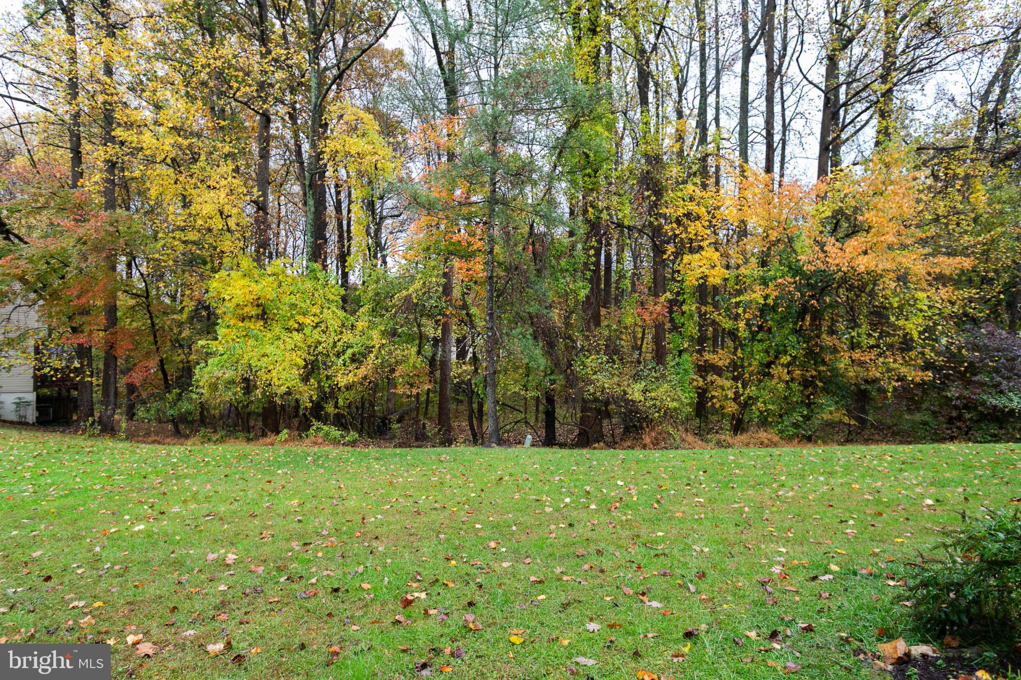 14 Tivoli Lake Court Silver Spring, MD 20906 - Photo 19 of 20 a view of green field