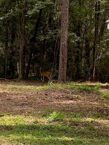 $545,000 | 233 Robin Hood Drive, Covington, LA 70433