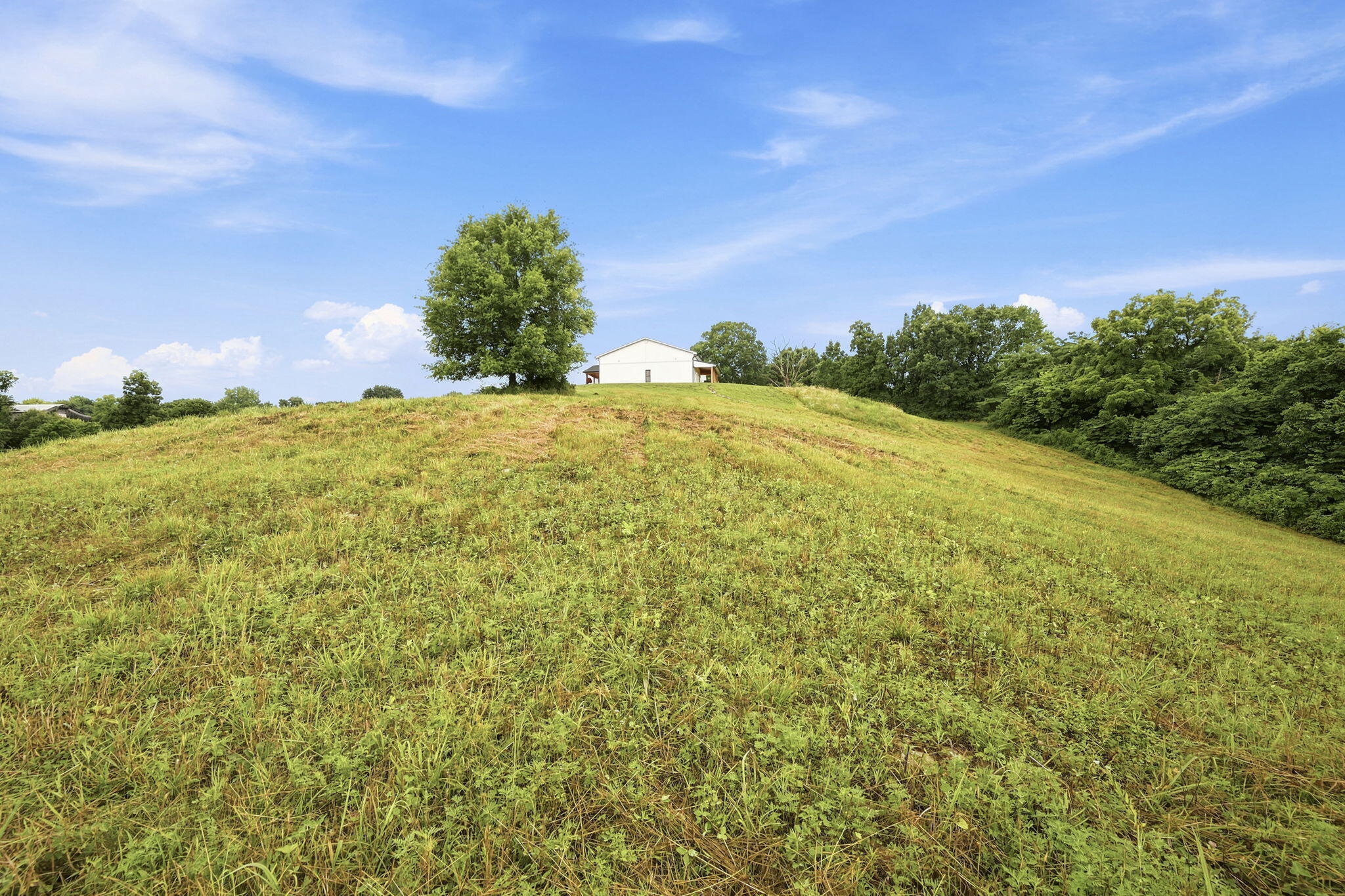 400 Stringtown Road Bardstown, KY 40004 - Photo 40 of 45 42-web-or-mls-STR_7199