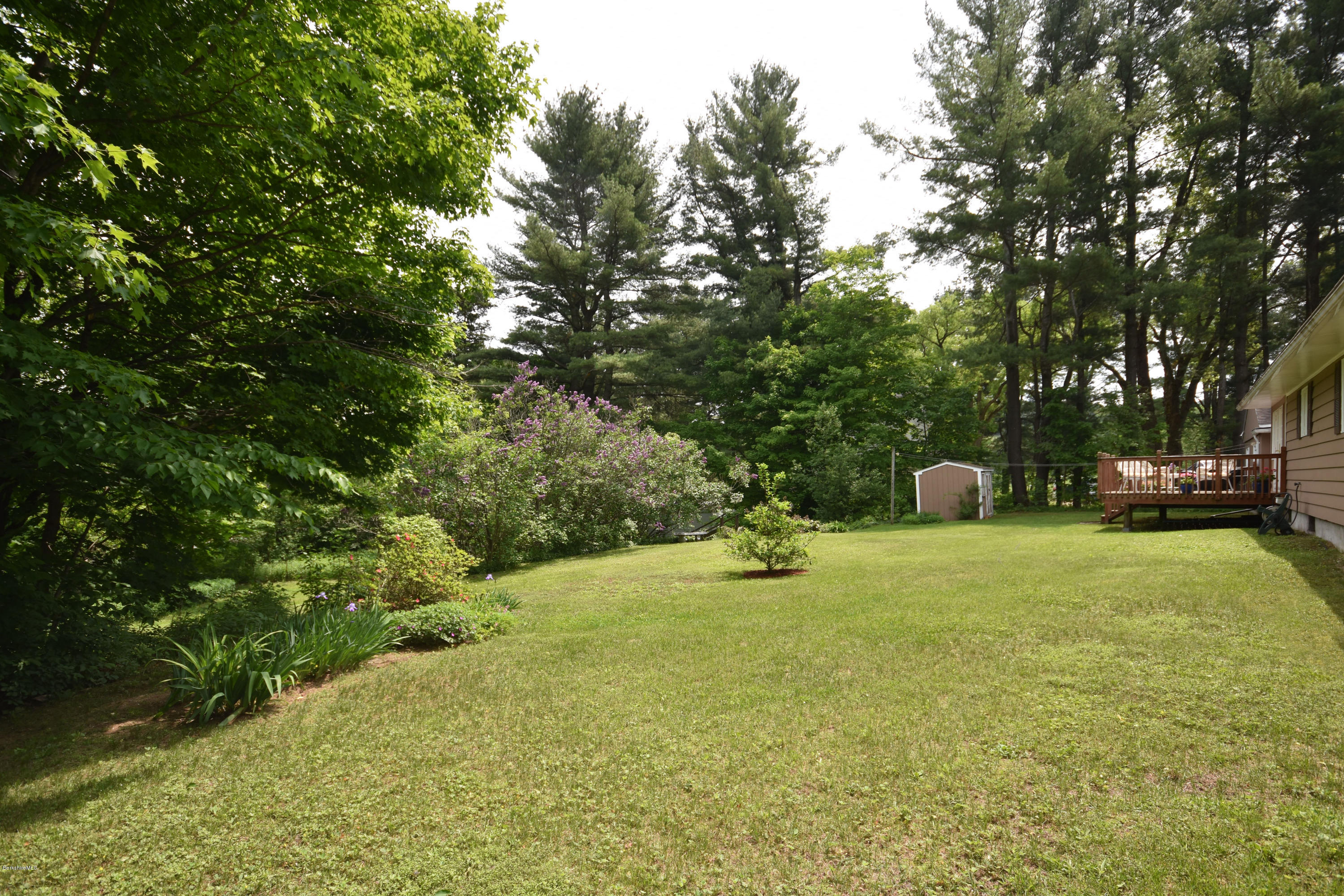 489 South Washington State Road Washington, MA 01223 - Photo 45 of 49 a view of a tree in a yard