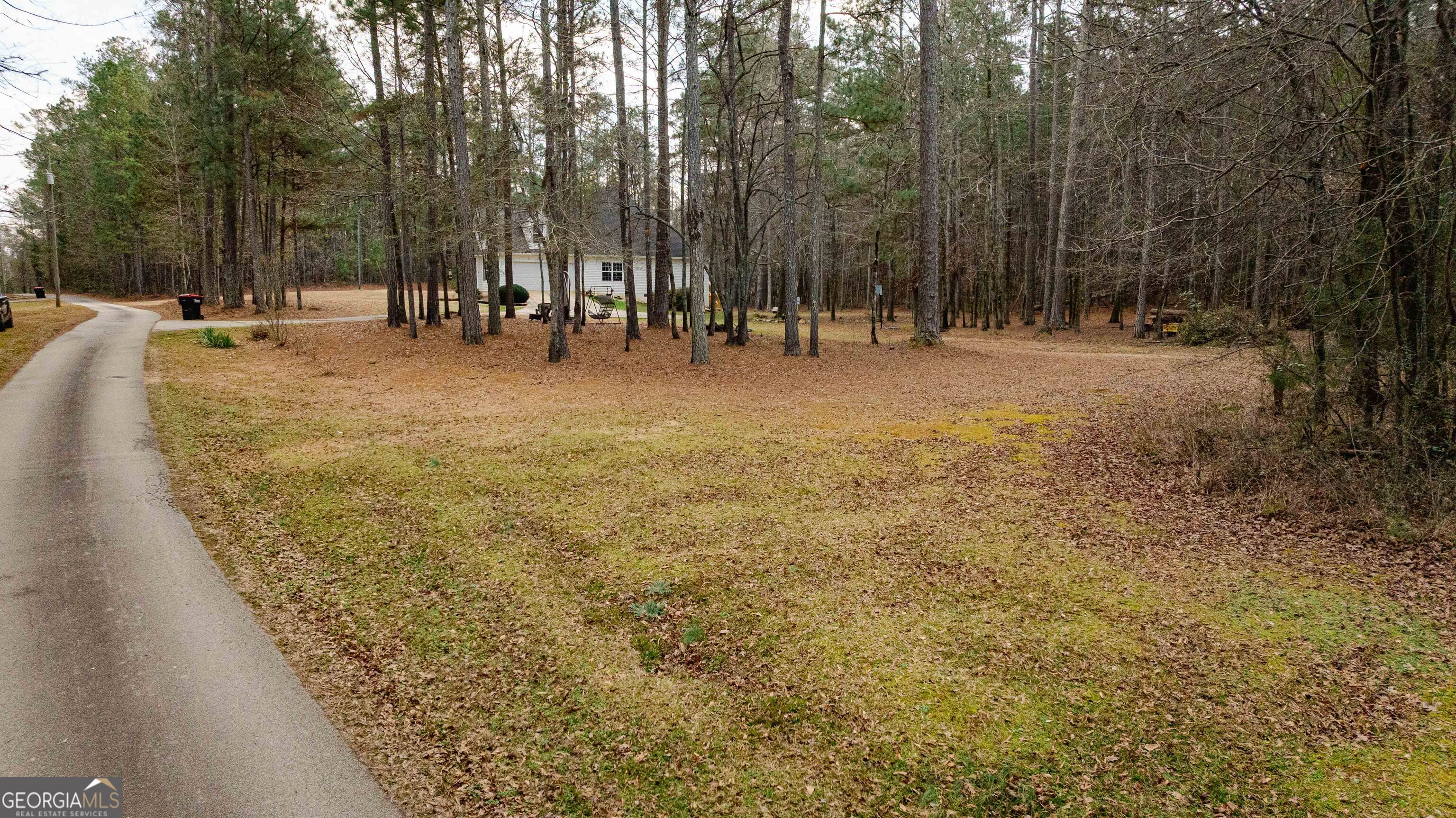 123 Rabbit Run Drive Meansville, GA 30256 - Photo 77 of 101 a view of outdoor space with trees