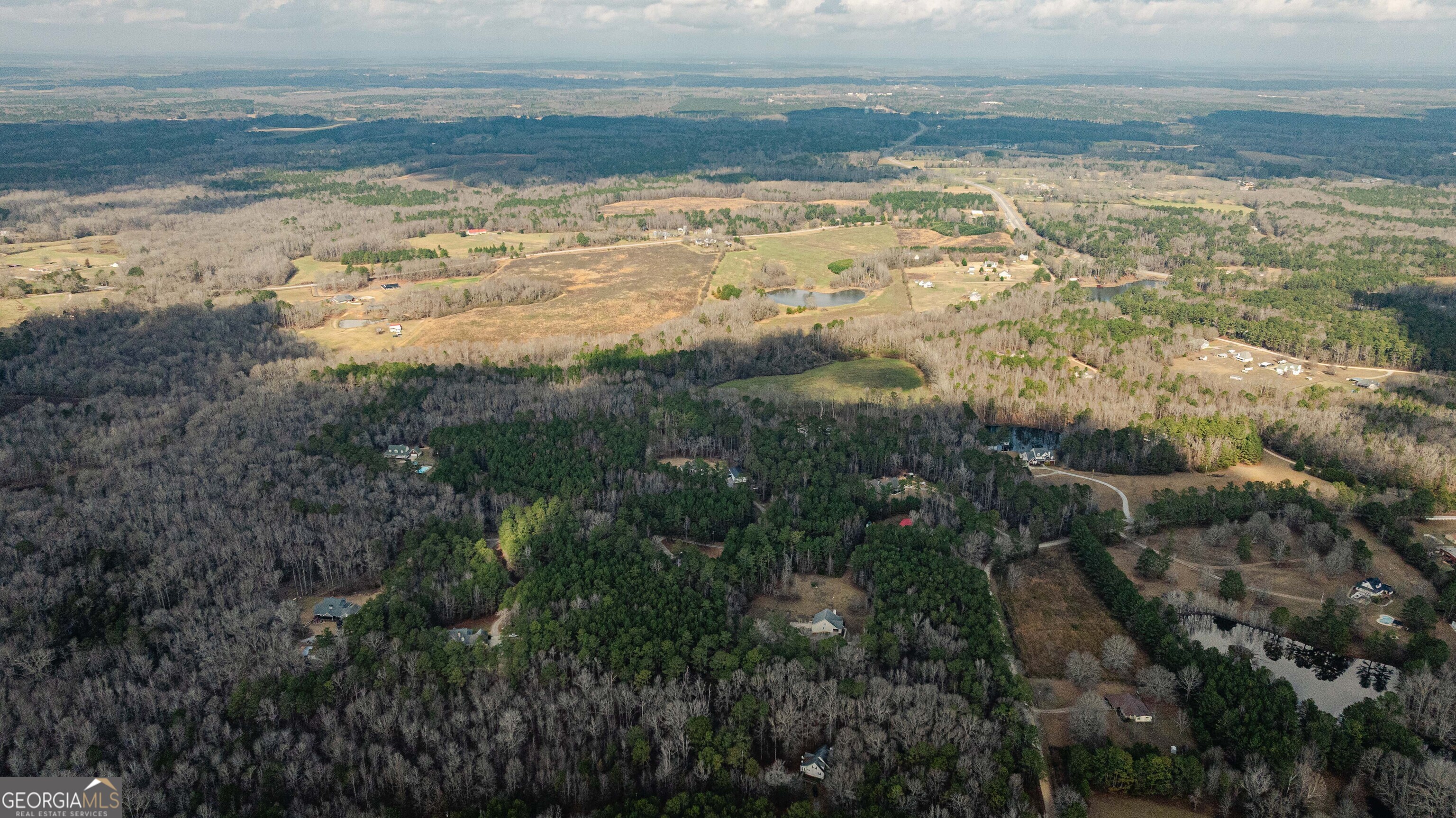 123 Rabbit Run Drive Meansville, GA 30256 - Photo 92 of 101 a view of ocean view