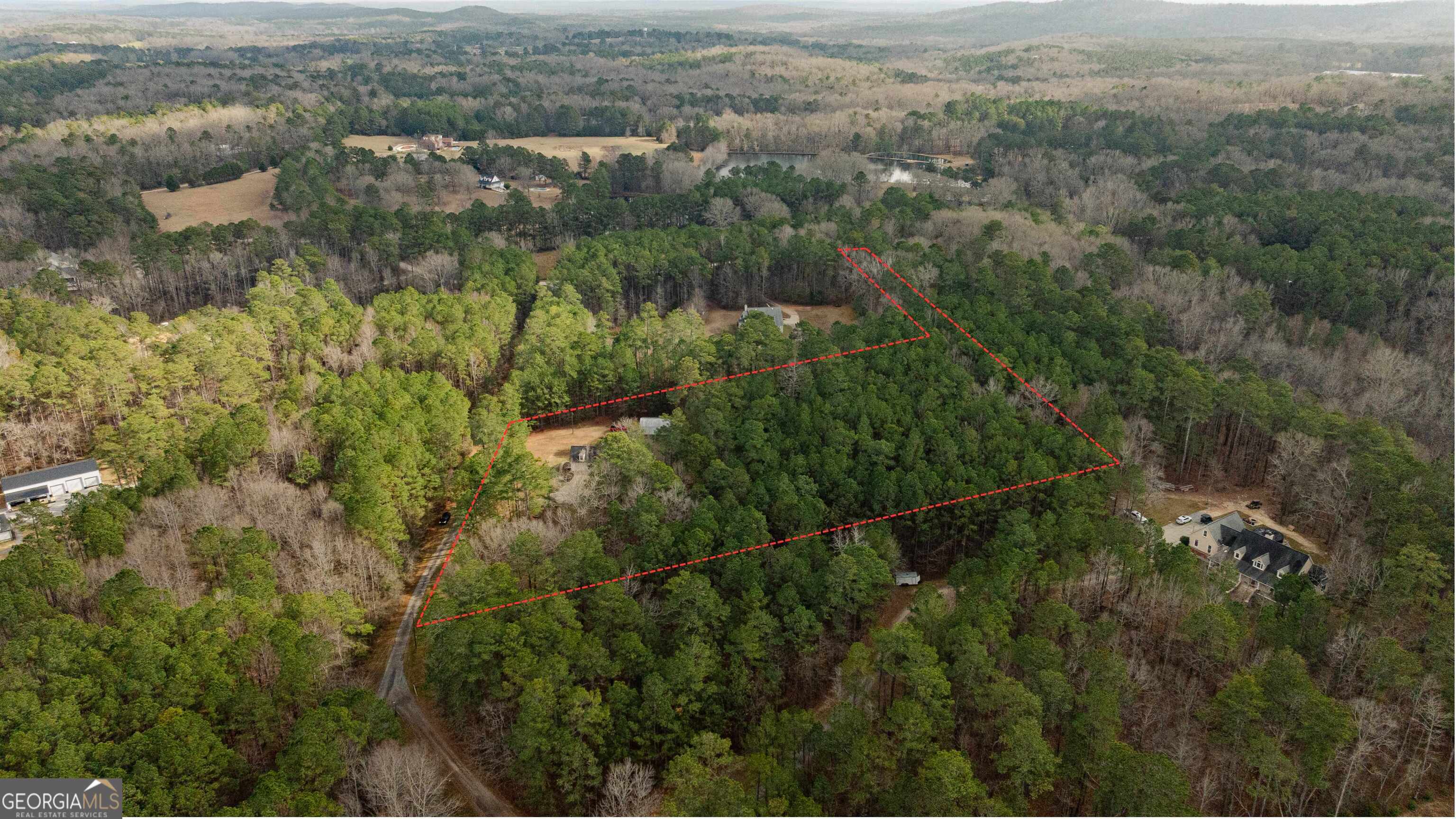 123 Rabbit Run Drive Meansville, GA 30256 - Photo 95 of 101 an aerial view of residential houses with outdoor space and trees