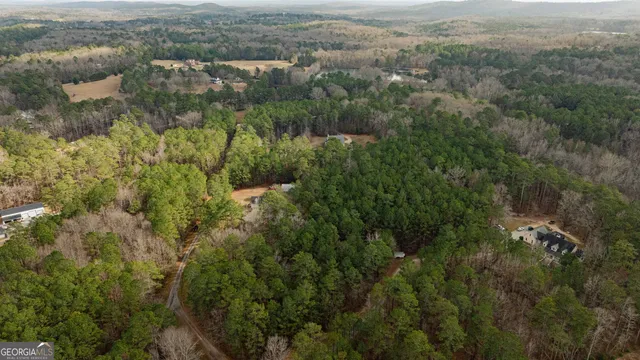 $524,900 | 123 Rabbit Run Drive, Meansville, GA 30256