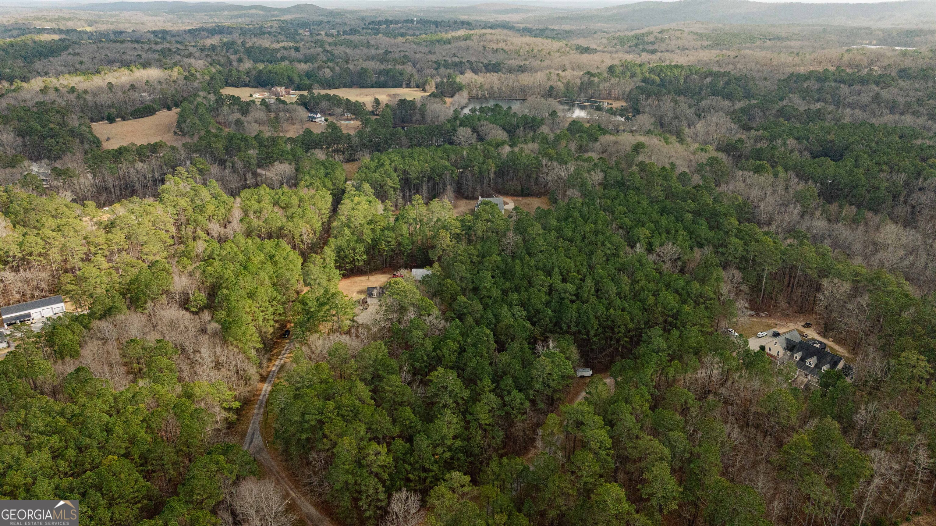 123 Rabbit Run Drive Meansville, GA 30256 - Photo 96 of 101 an aerial view of residential houses with outdoor space and trees