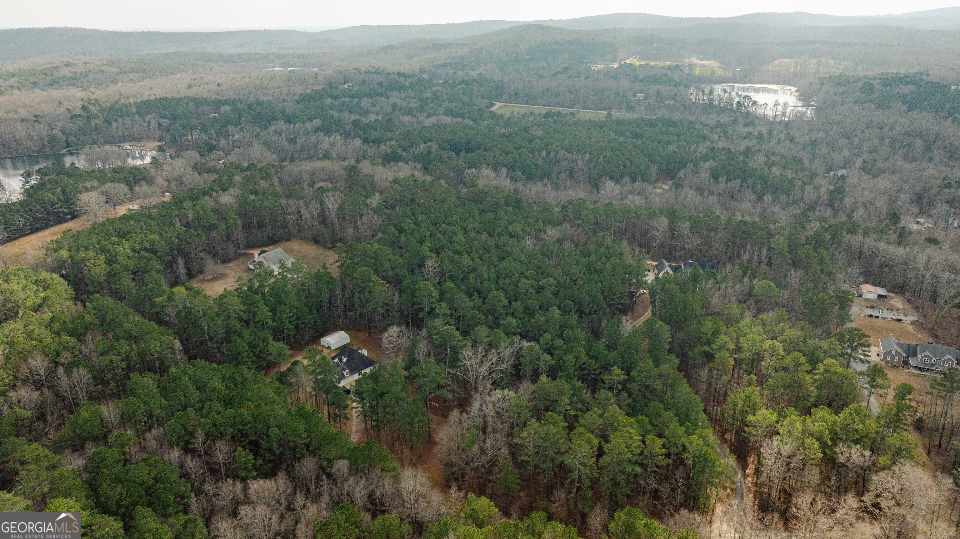 123 Rabbit Run Drive Meansville, GA 30256 - Photo 98 of 101 an aerial view of residential houses with outdoor and green space