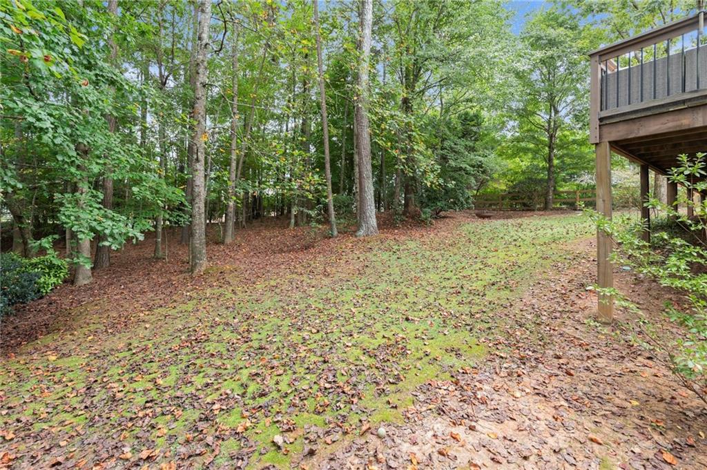 321 Ironhill Trace Woodstock, GA 30189 - Photo 60 of 75