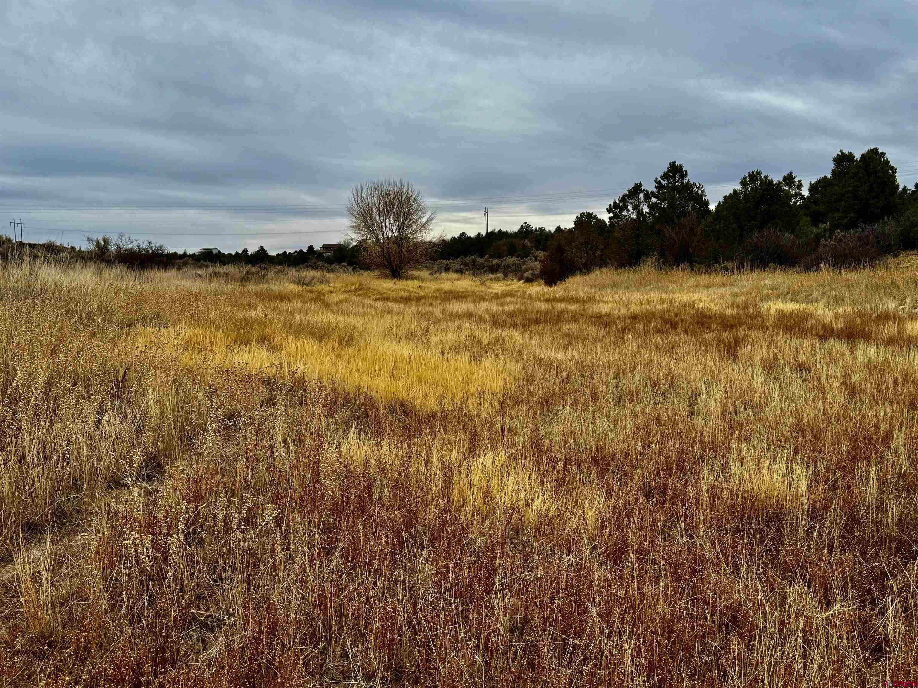0 T5 Road Dolores, CO 81323 - Photo 12 of 15