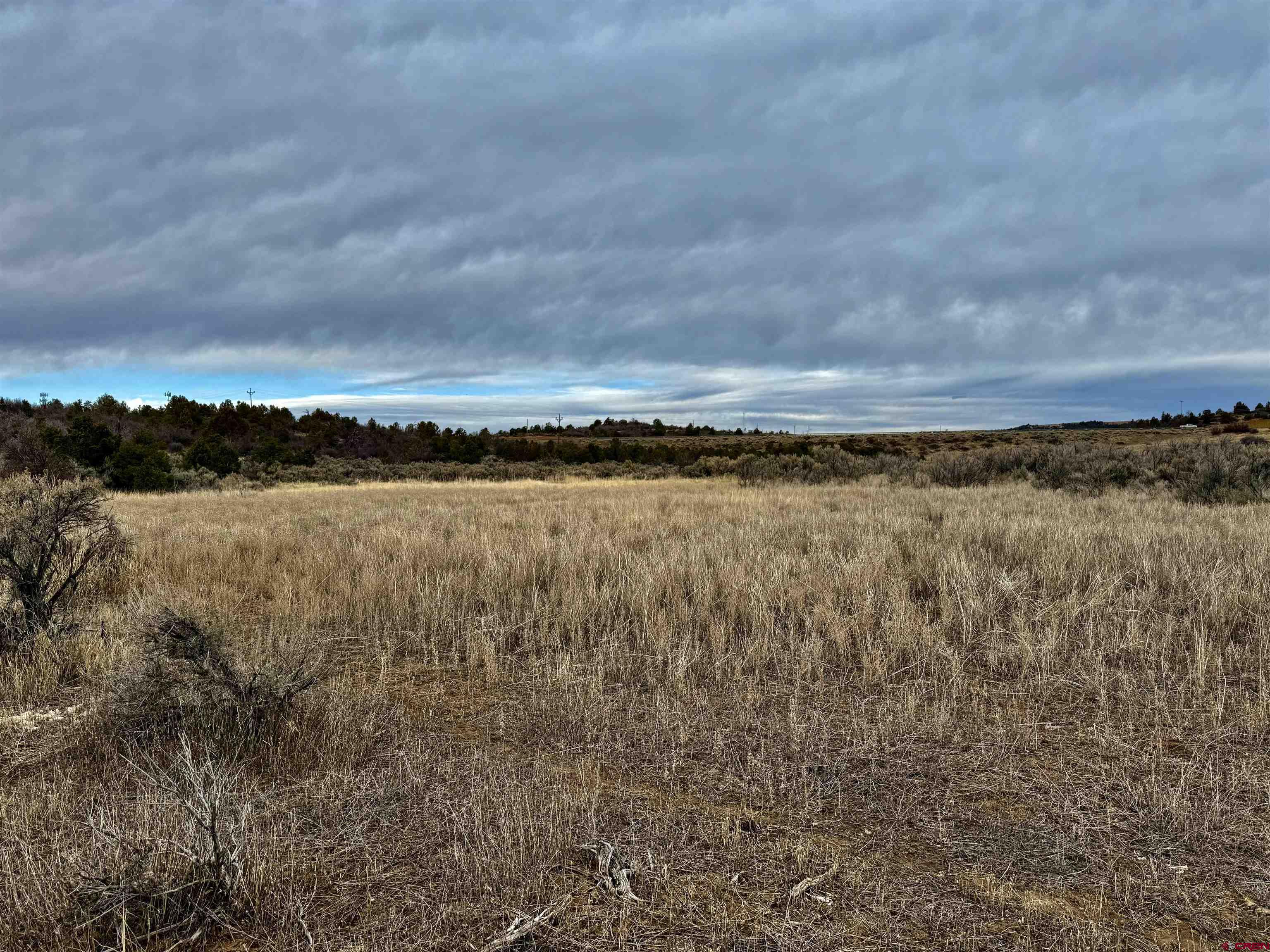 0 T5 Road Dolores, CO 81323 - Photo 13 of 15