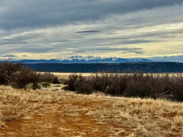 $699,999 | 0 T5 Road, Dolores, CO 81323