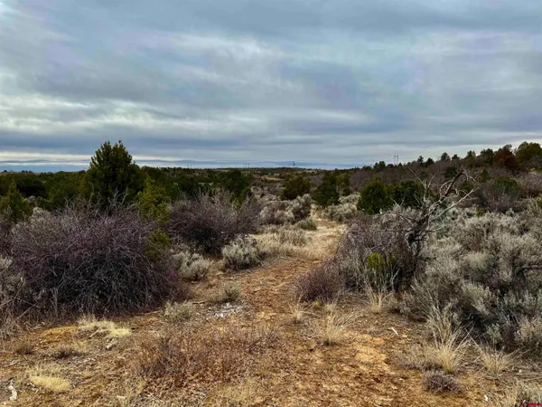 a view of a yard with wooden fence