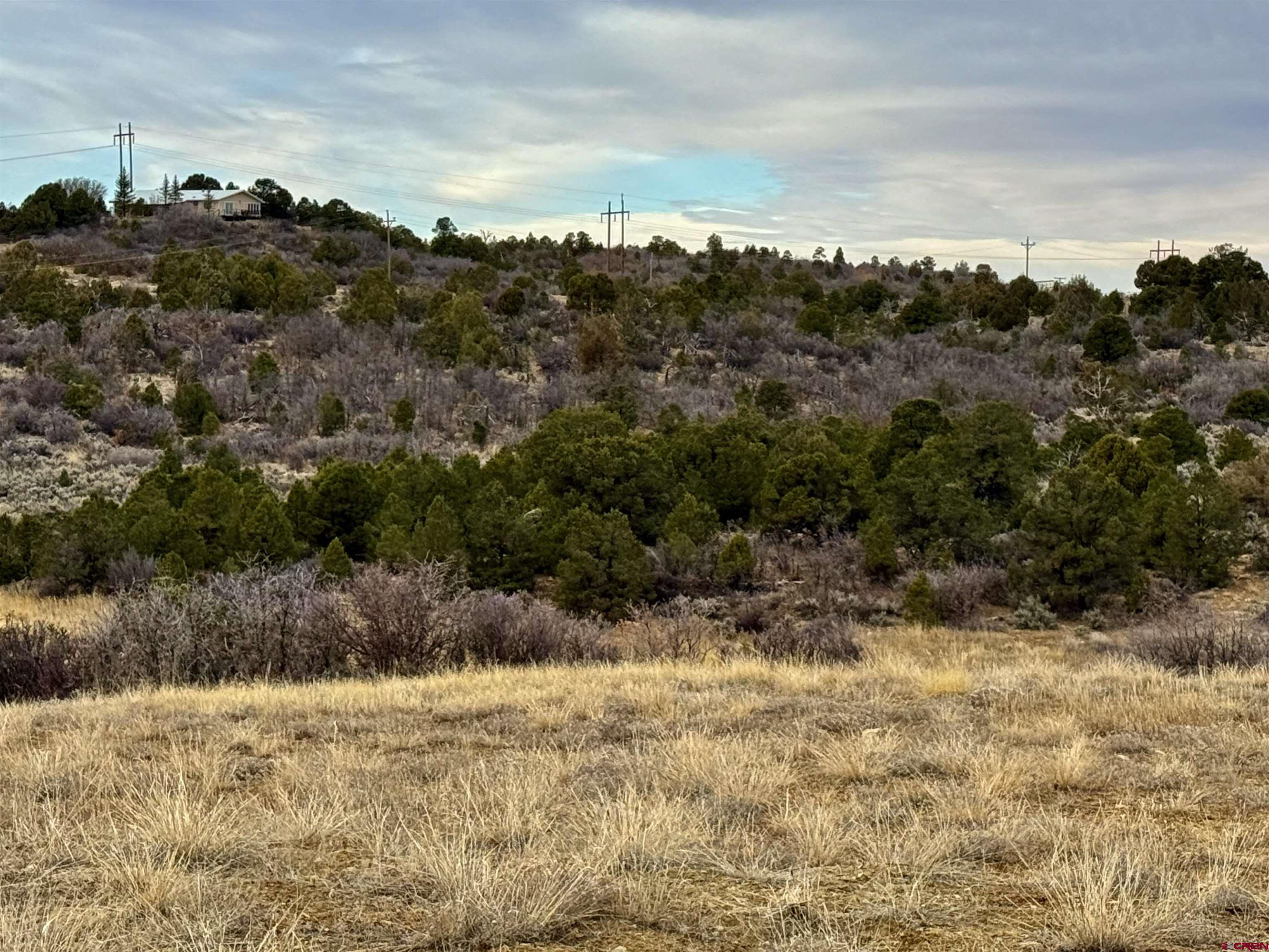 0 T5 Road Dolores, CO 81323 - Photo 8 of 15 a view of a yard