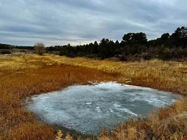 a view of an ocean beach