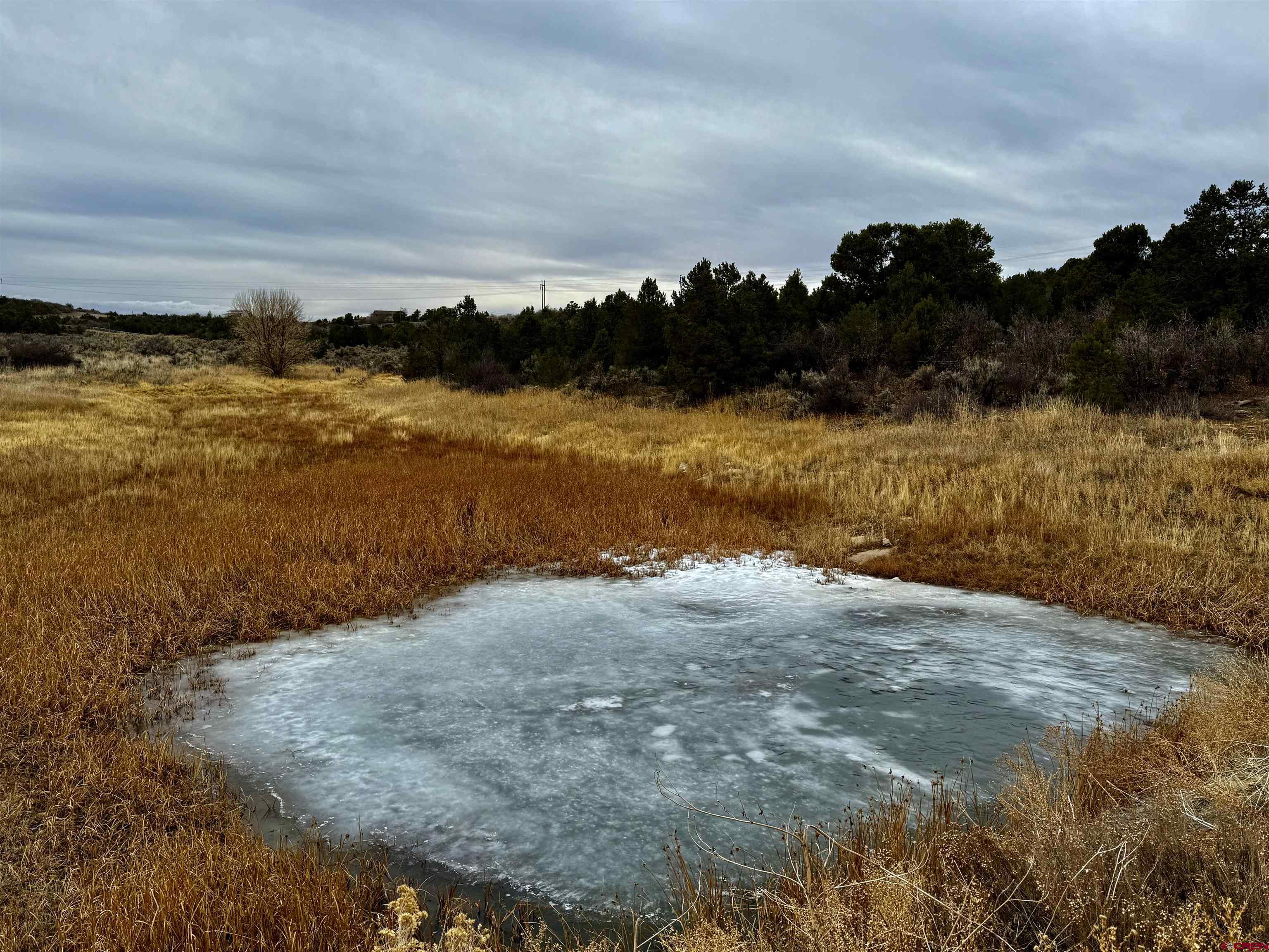 0 T5 Road Dolores, CO 81323 - Photo 9 of 15 a view of an ocean beach