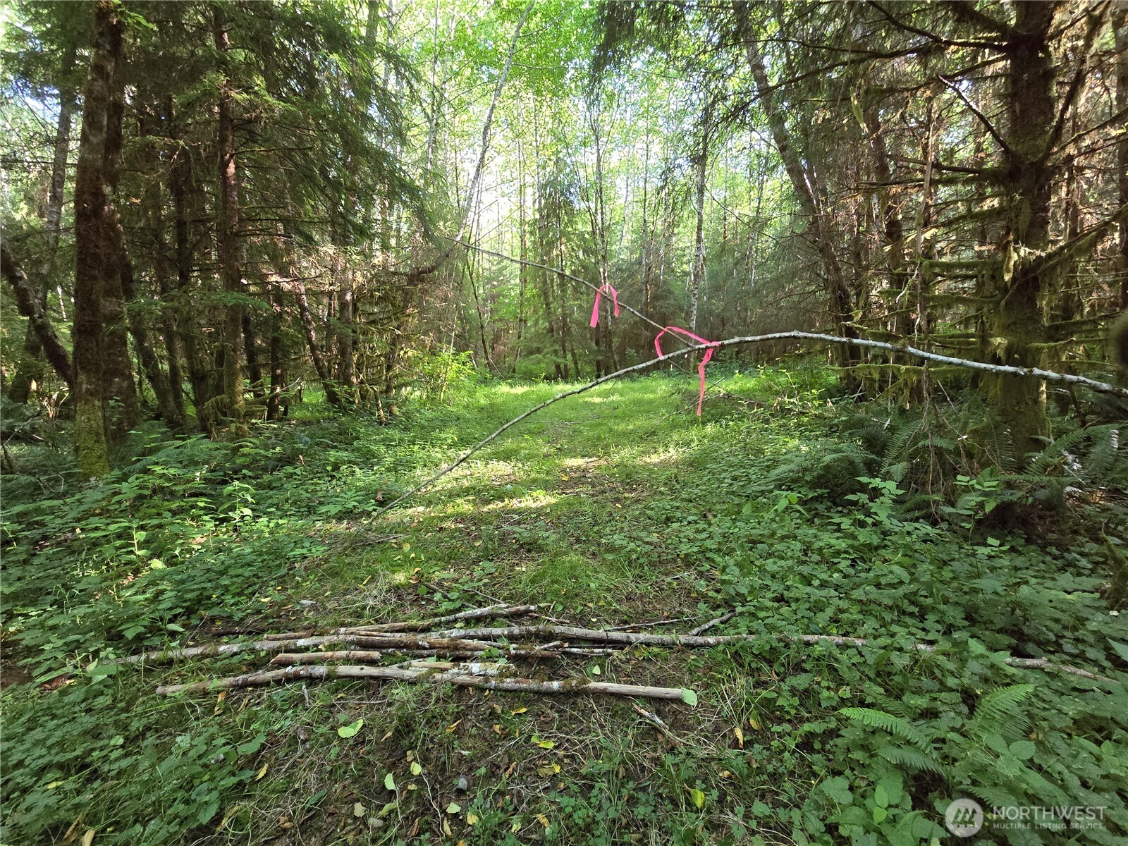 9999 Highway 110 Forks, WA 98331 - Photo 3 of 17 Gallery Image 3