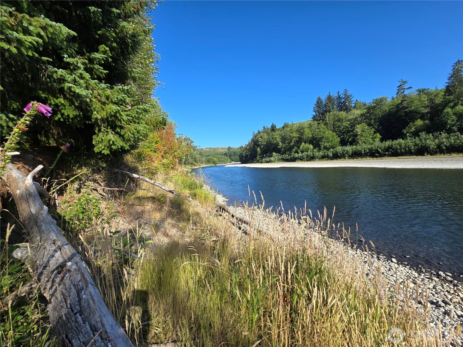 9999 Highway 110 Forks, WA 98331 - Photo 5 of 17 Gallery Image 5
