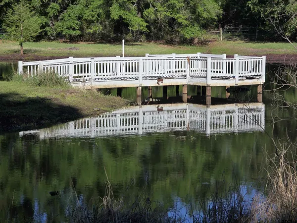 $599,000 | 244 County Road 2321, Pittsburg, TX 75686