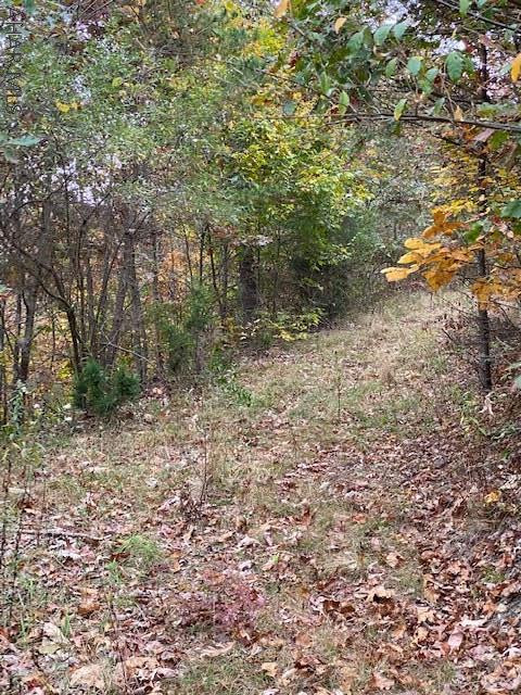 110 Mearkle Road Clearville, PA 15535 - Photo 13 of 35 Gallery Image 13