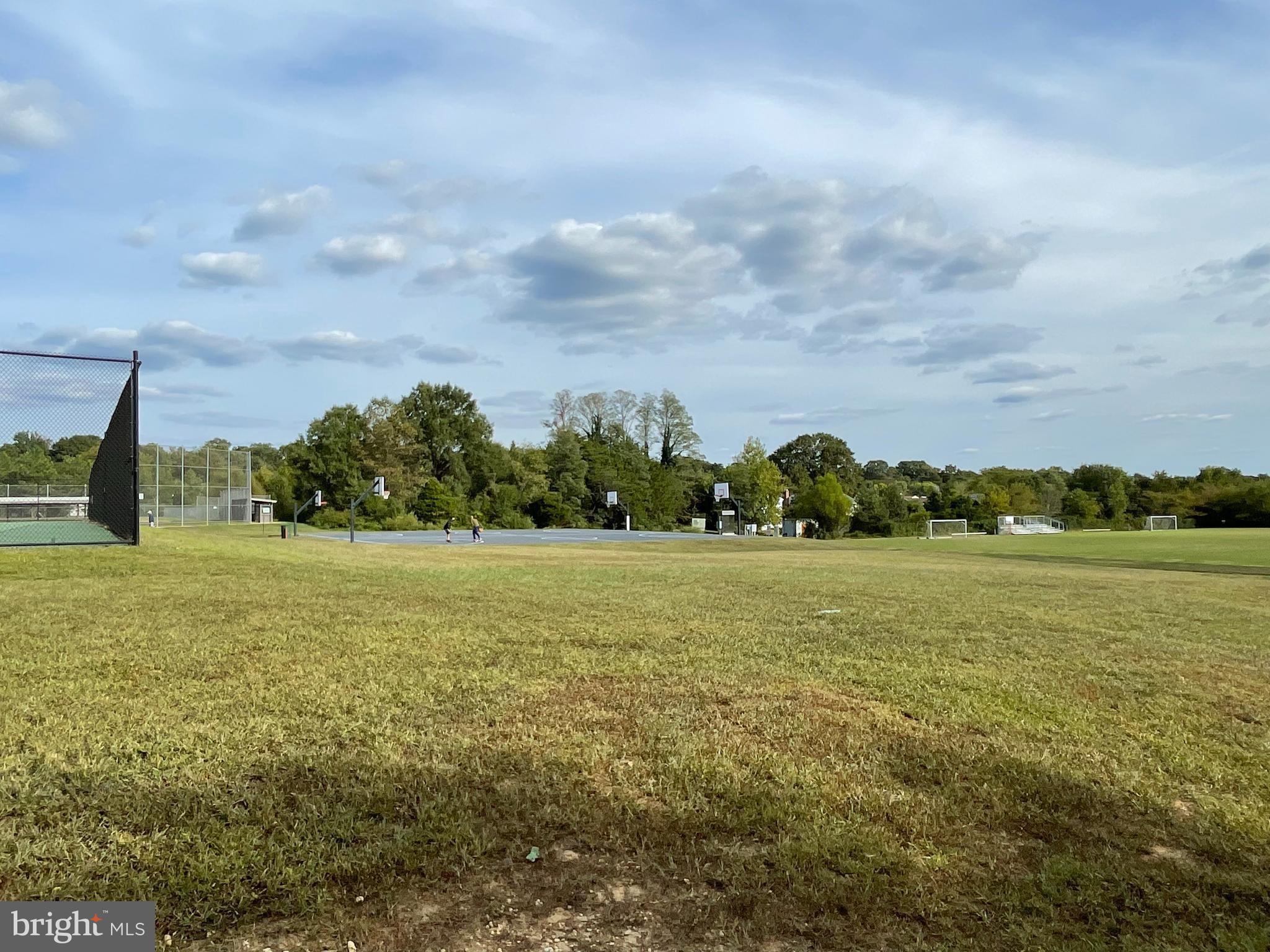7327 Oldham Leeds Way Springfield, VA 22150 - Photo 47 of 50 Baseball & multi use fields