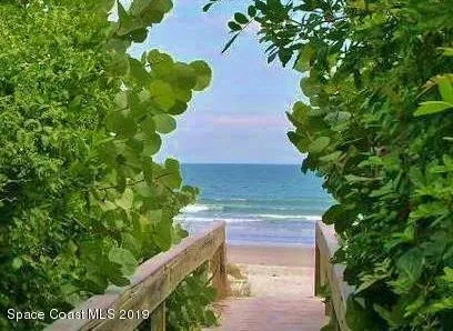 a view of a garden with plants