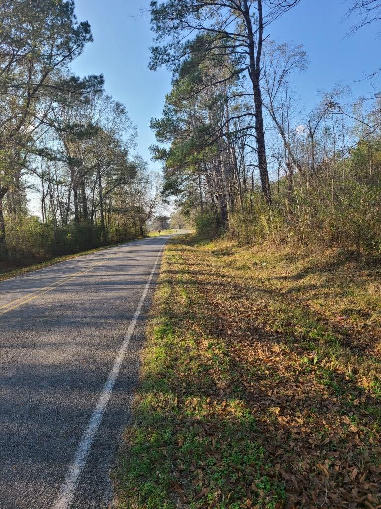 Tbd McNair Road Meadville, MS 39653 - Photo 3 of 3 Photo 3