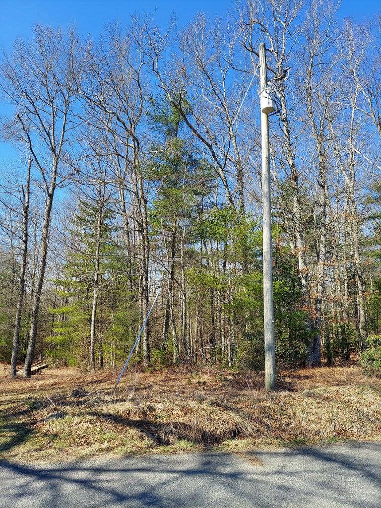6 Wolfpen Ridge Road Galax, VA 24333 - Photo 3 of 18 Gallery Image 3