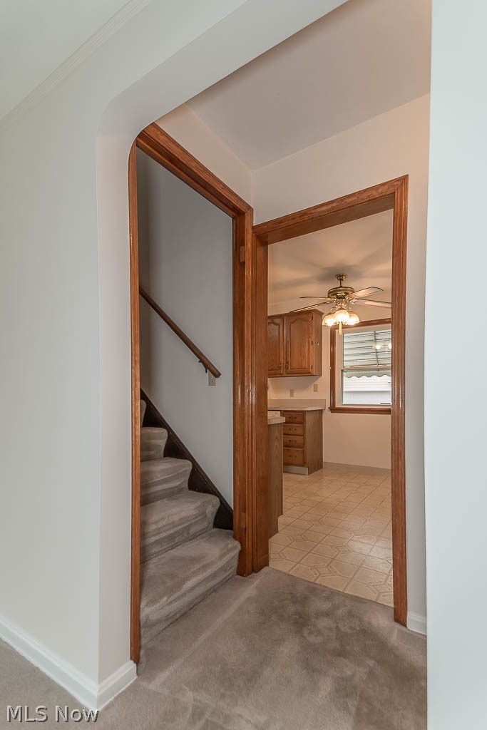 29934 Elgin Road Wickliffe, OH 44092 - Photo 9 of 35 Gallery Image 9
