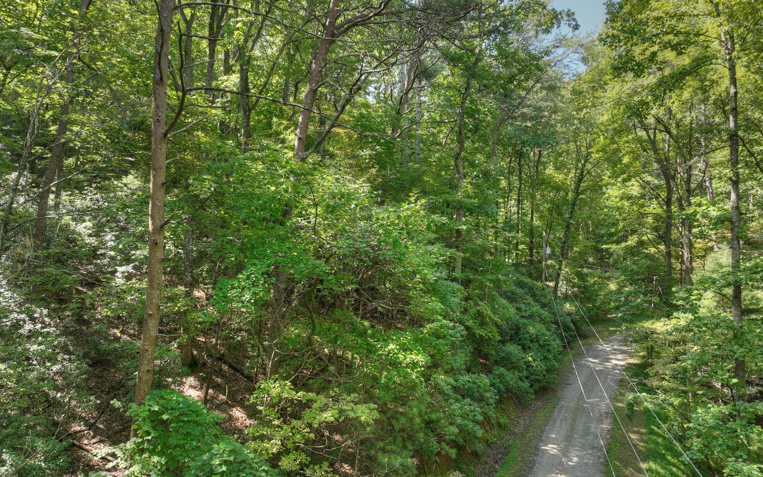 Lc136 Walnut Mountain Road Ellijay, GA 30536 - Photo 11 of 20 Additional View