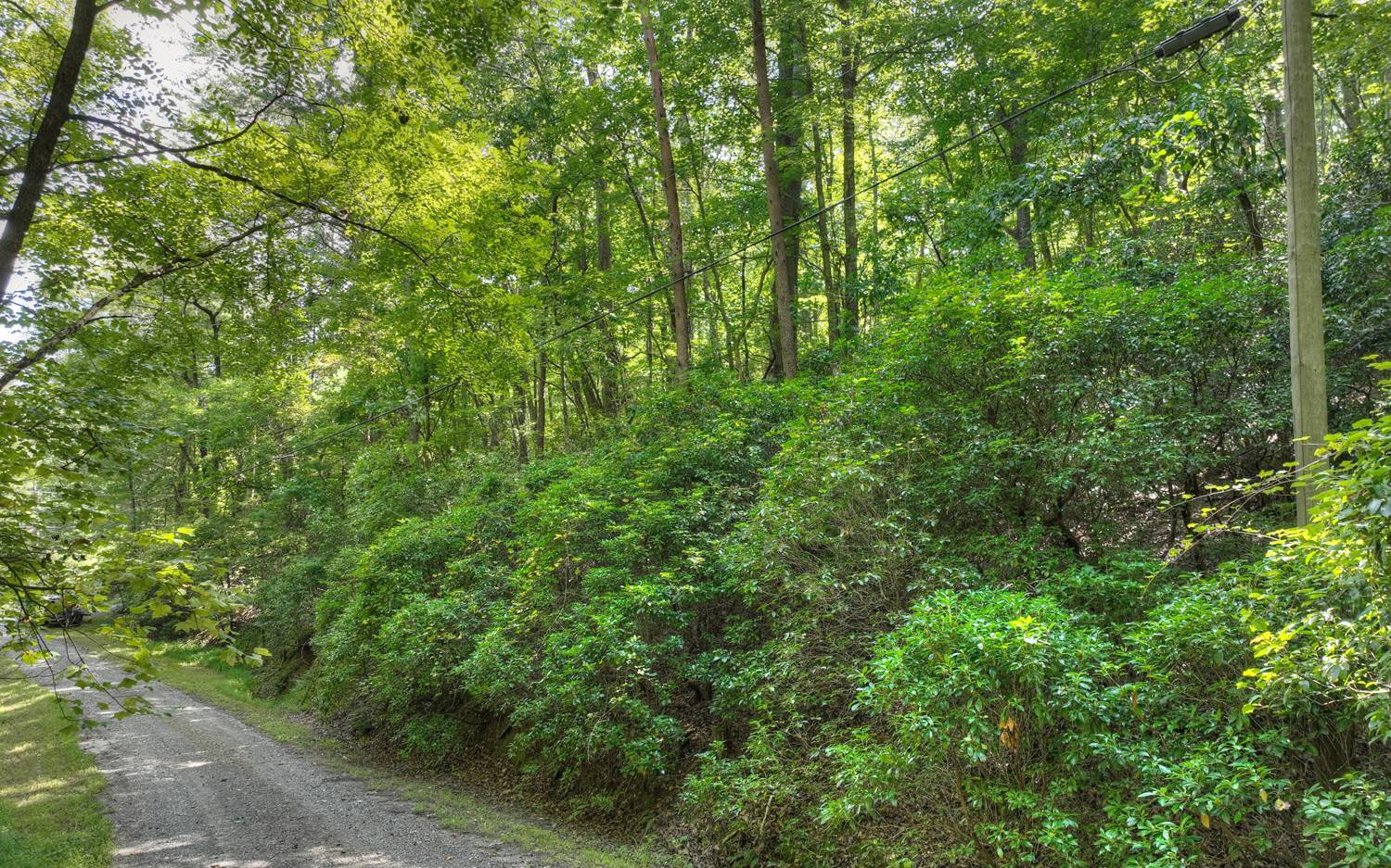 Lc136 Walnut Mountain Road Ellijay, GA 30536 - Photo 15 of 20 Additional View