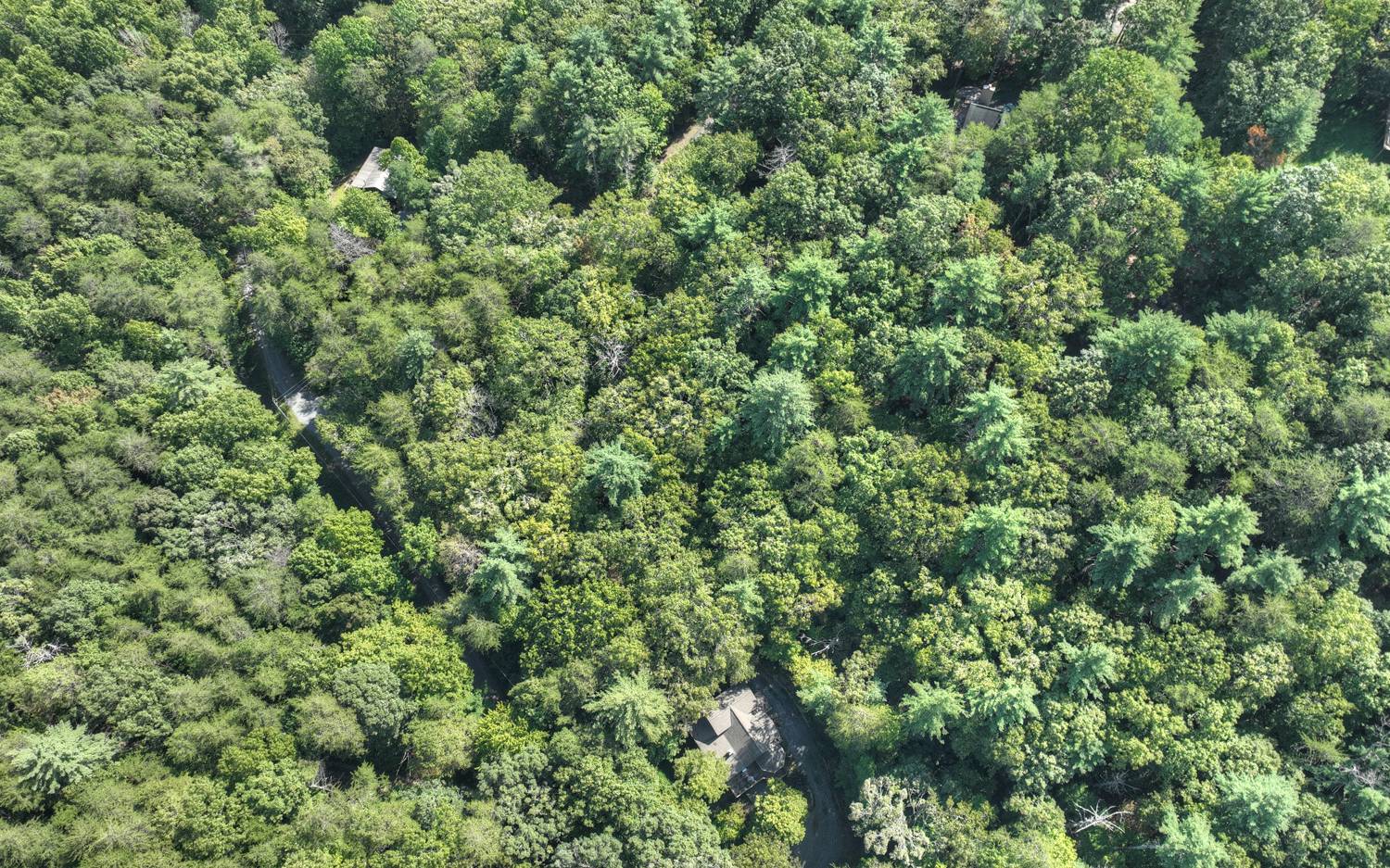 Lc136 Walnut Mountain Road Ellijay, GA 30536 - Photo 18 of 20 Additional View