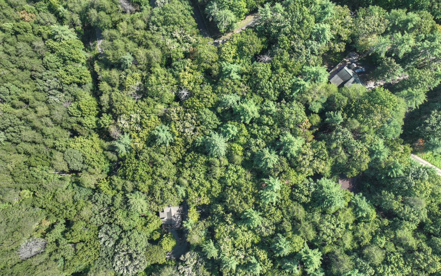 Lc136 Walnut Mountain Road Ellijay, GA 30536 - Photo 19 of 20 Additional View