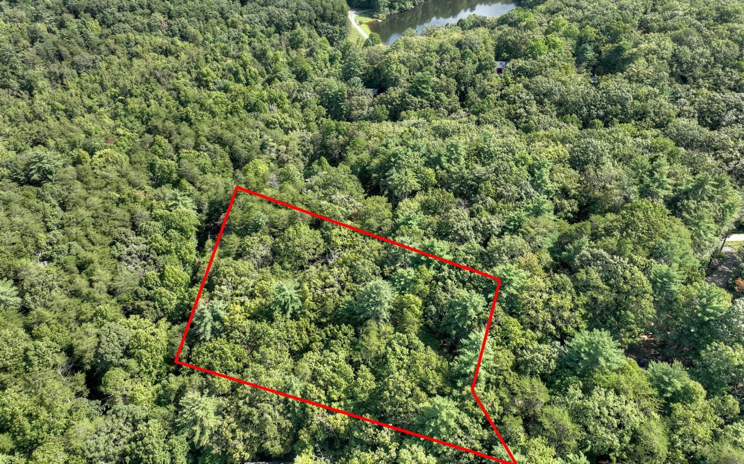 Lc136 Walnut Mountain Road Ellijay, GA 30536 - Photo 2 of 20 Additional View