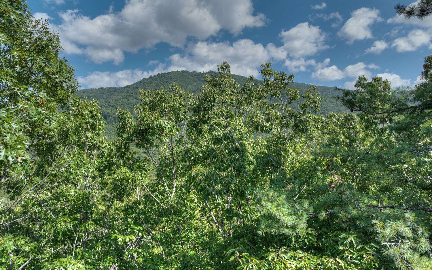 Lc136 Walnut Mountain Road Ellijay, GA 30536 - Photo 4 of 20 Additional View