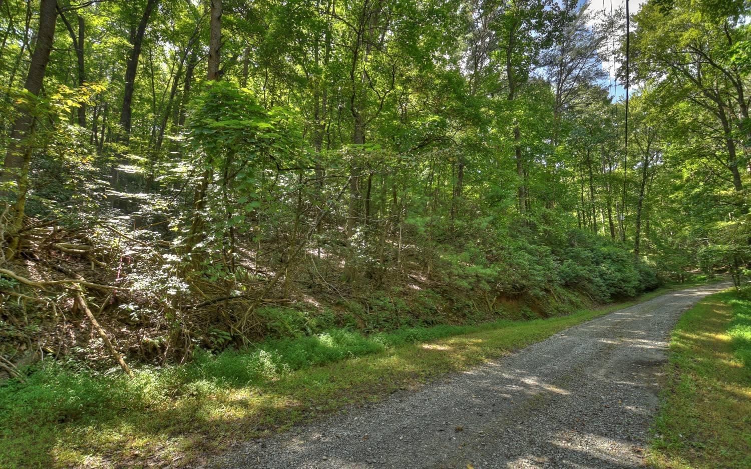 Lc136 Walnut Mountain Road Ellijay, GA 30536 - Photo 5 of 20 Additional View