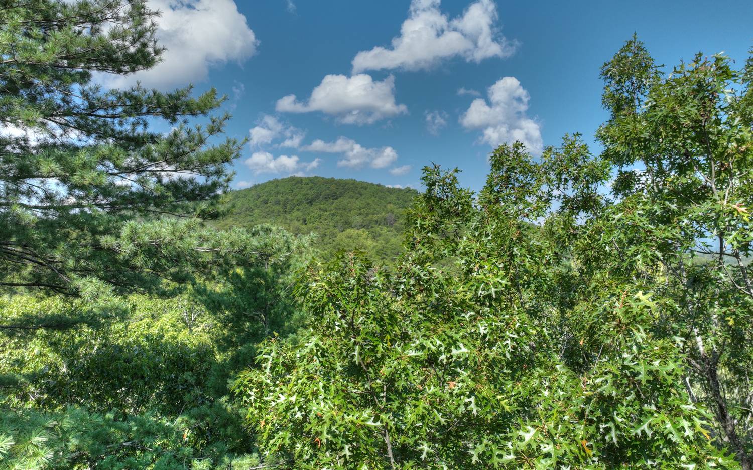 Lc136 Walnut Mountain Road Ellijay, GA 30536 - Photo 6 of 20 Additional View