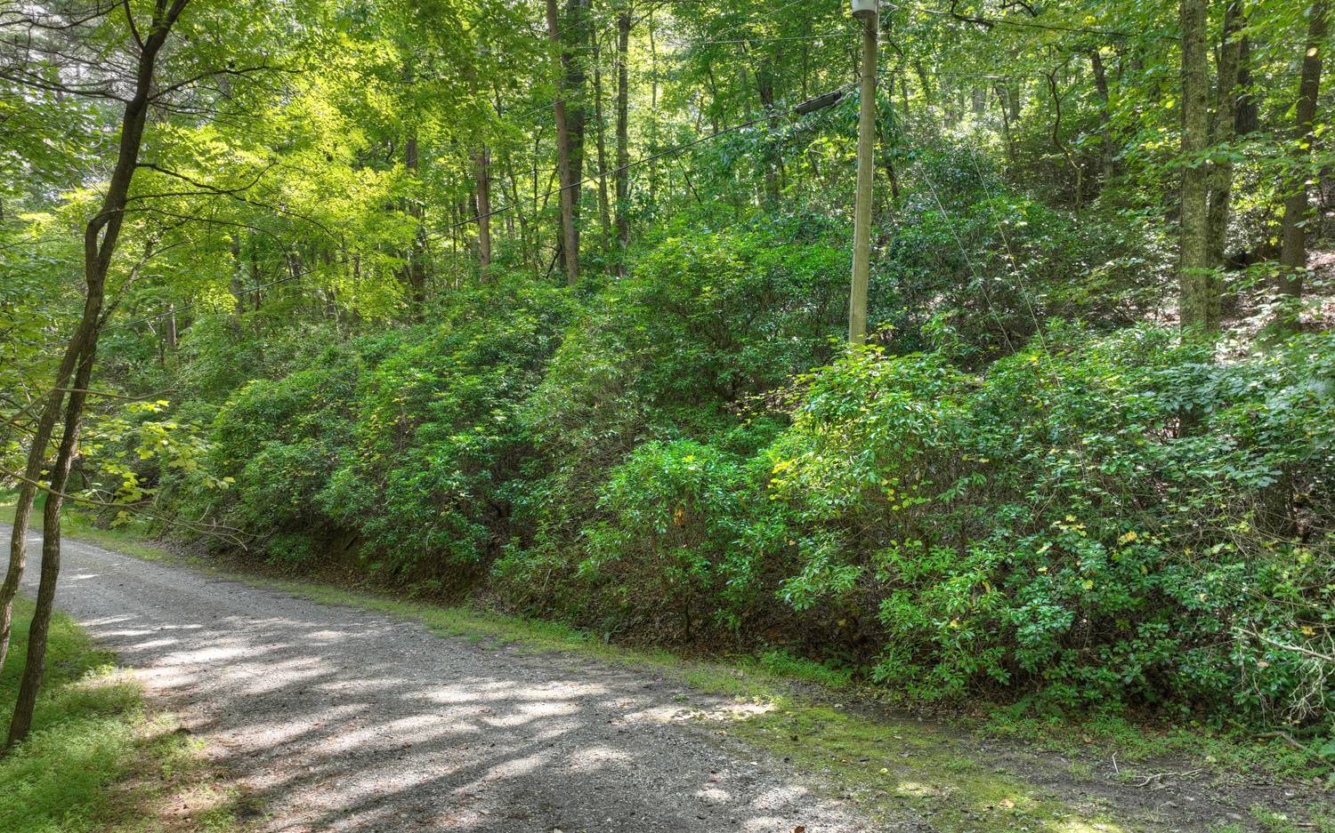 Lc136 Walnut Mountain Road Ellijay, GA 30536 - Photo 7 of 20 Additional View